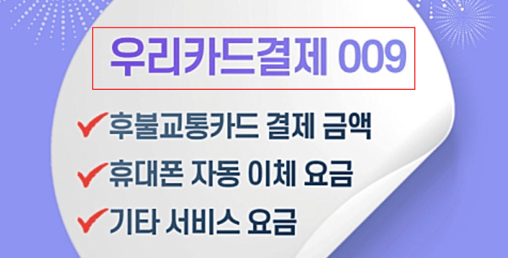 우리카드결제 의미 카드섹션